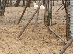 -秦皇岛野生动物园