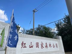 -红山国家森林公园