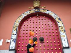 -铁山坪森林公园