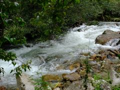 -黑河国家森林公园