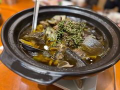 -陶缘一号·四季缘·老字号顺德菜·户外婚礼家宴(西滘店)