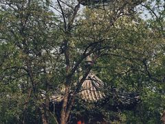 -盛世南宫影视城(北普陀影视城)
