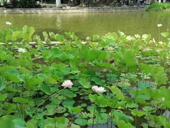 -西安市长乐公园