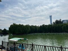 -团结湖公园