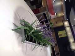 iphone_upload_pic-嘉旺(上梅林店)