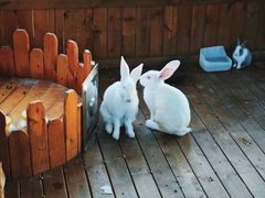 -HERRE·FARM 赫尔露营农场·团建聚会包场