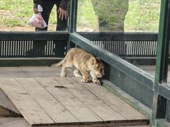 -秦皇岛野生动物园