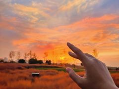 -汉长安城未央宫国家考古遗址公园