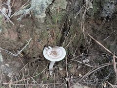-苏州环秀晓筑养生度假村