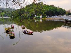 -深圳仙湖植物园