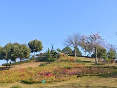 -东莞植物园