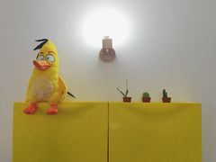 -阿狗圆子