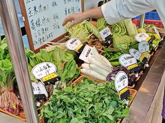 -楚韵小镇·宜昌肥鱼(虹桥国际店)