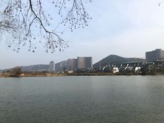 -长兴太湖图影湿地文化园