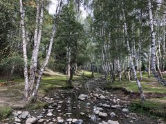 -喀纳斯禾木山庄