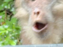 -詹记宫廷桃酥王(芜湖万达店)