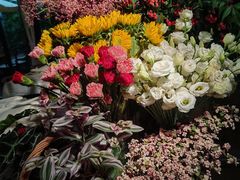-春暖花开(西溪店)