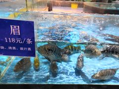 -都市阳光海鲜城(青山湖店)