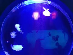 -太平洋海底世界