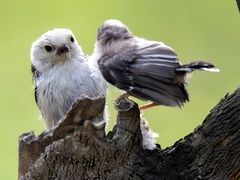 -白石龙音乐公园