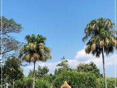 -中国科学院西双版纳热带植物园