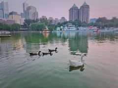 -紫光园·烤鸭·北京菜(团结湖店)