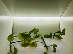 -好利来(南塔店)