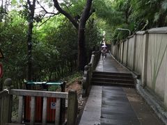 -上海佘山国家森林公园西佘山园