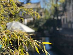 -滇藏石锅宴(崇仁巷老店)