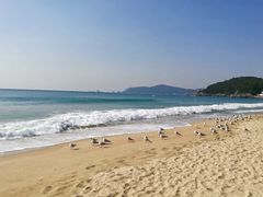 -海云台海滩