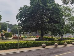 -三水森林公园