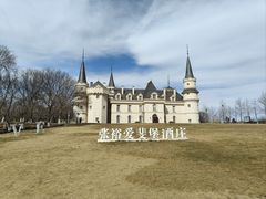 -北京张裕爱斐堡酒庄