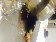 飞阳铁板烧(七彩店)-飞阳铁板烧(ME TOWN购物中心店)