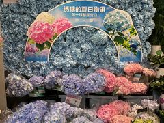 -盒马鲜生(岭南新世界店)