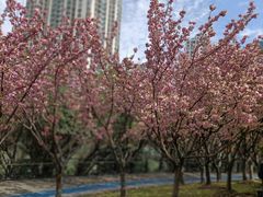 -苏州河梦清园环保主题公园