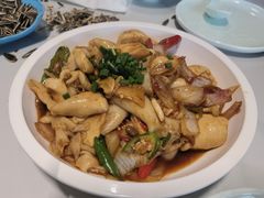 -全乐鱼馆·淳牌有机鱼直营店