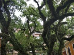 -ALBERGUE 1601 婆仔屋葡国餐厅