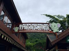 -野象谷景区