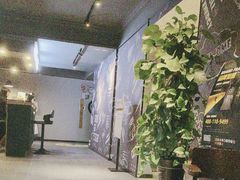 -梵猫·新养生(湛江鼎盛店)
