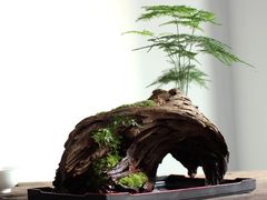 -星巴克(汇亚大厦店)