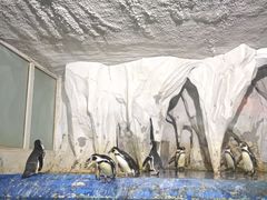 -太平洋海底世界