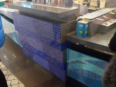 水产区-DQ·蛋糕·冰淇淋(新玛特分店)