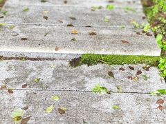 -五营红松林海景区