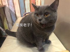 -小时光咖啡馆(开森度假森林店)
