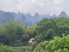 -印象鲵宴·张家界地标美食名片(溪布街店)