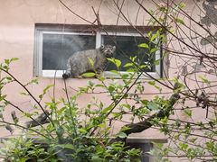 -青藏高原野生动物园