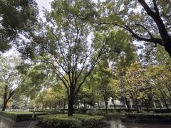 -木塔寺遗址生态公园