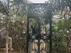 -正佳雨林生态植物园