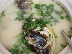 -天乐农家鱼头王(天目湖店)