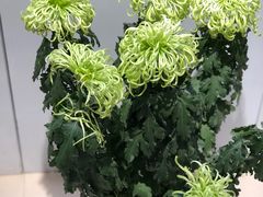 -汇龙潭
